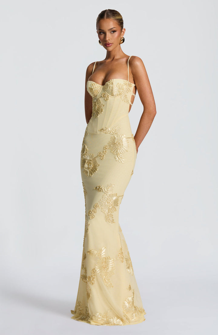 Aveline - Floral Corset Dress