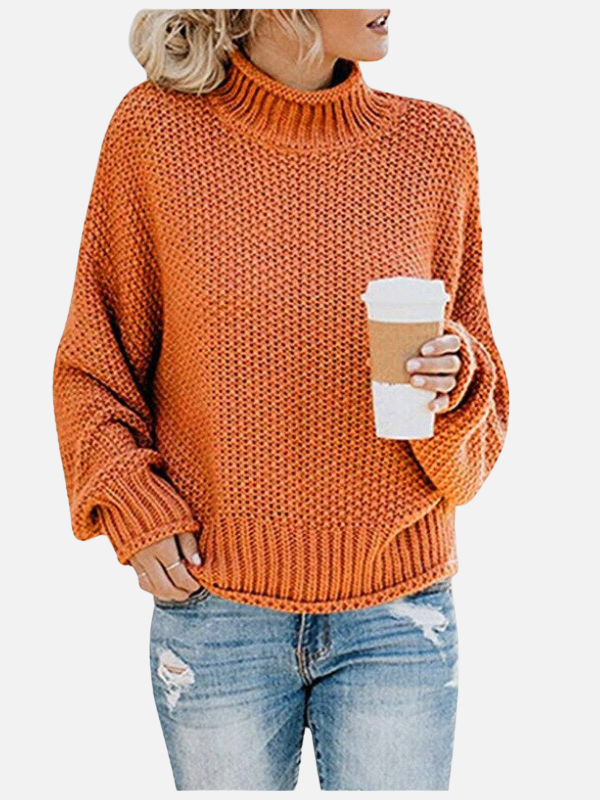 Susanne | Chunky Knit Roll Neck Jumper for Women