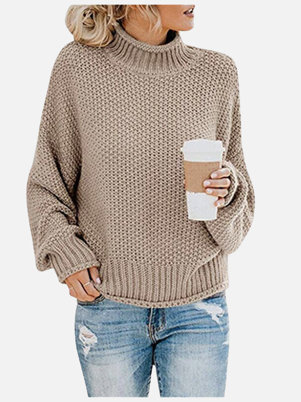 Susanne | Chunky Knit Roll Neck Jumper for Women